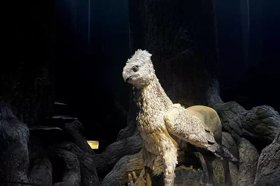 电影里神奇生物的原型 电影里神奇生物的原型