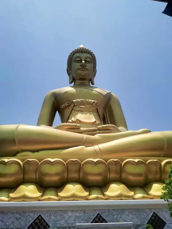 寺内仰拍 寺内仰拍