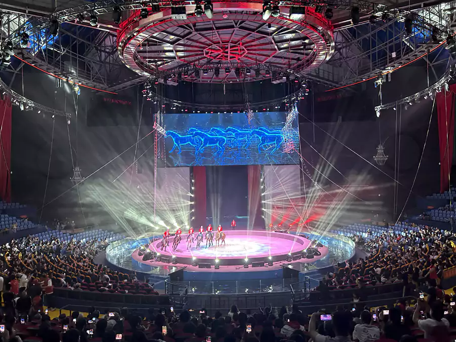 太阳鸟国际大马戏的精彩表演 太阳鸟国际大马戏的精彩表演