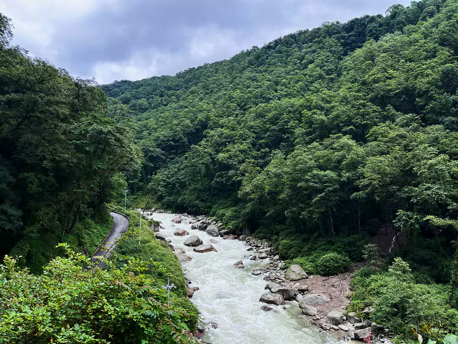 下亚东原始森林 下亚东原始森林