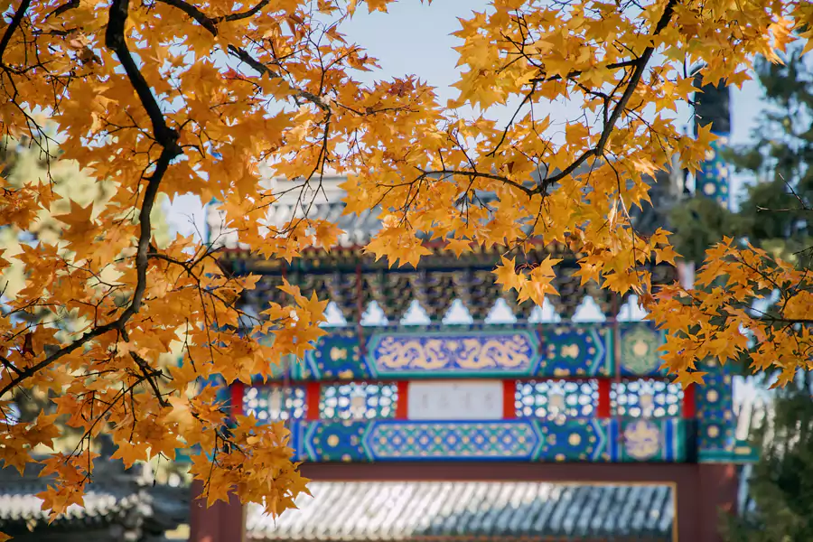 北京香山 北京香山