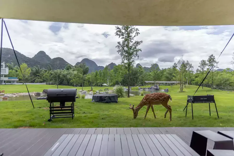 酒店免费提供「观鹿下午茶」 酒店免费提供「观鹿下午茶」