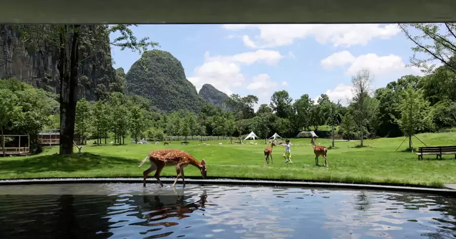 草坪就是最好的游乐场 草坪就是最好的游乐场