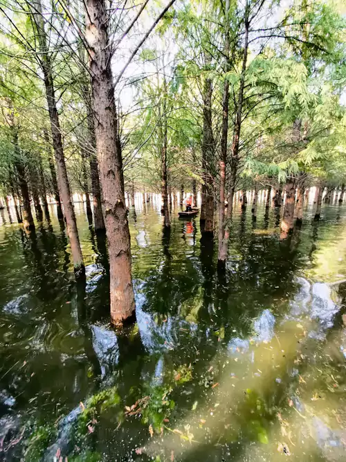 朱家桥生态公园