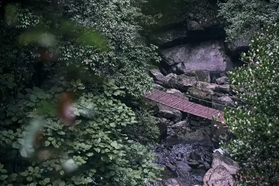 来金佛山朴乡,住进立鼎世认证的奢华酒店里 来金佛山朴乡,住进立鼎世认证的奢华酒店里