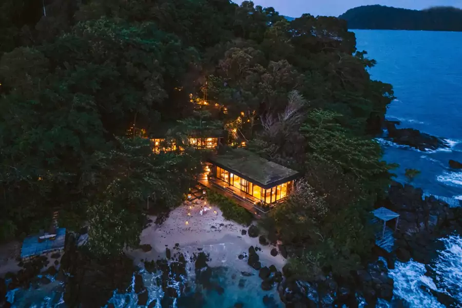 远远望去,建筑仿佛从丛林里自然生长出来 远远望去,建筑仿佛从丛林里自然生长出来