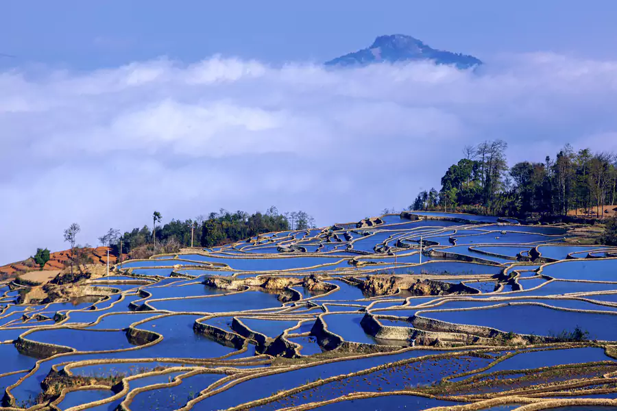 爱春蓝梯田 爱春蓝梯田