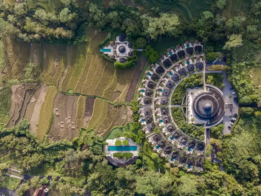 酒店像一朵缓缓绽放的莲花 酒店像一朵缓缓绽放的莲花