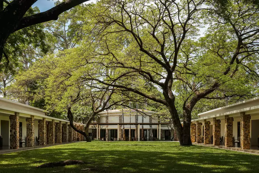 极简主义的设计与热带雨林的繁茂相得益彰 极简主义的设计与热带雨林的繁茂相得益彰