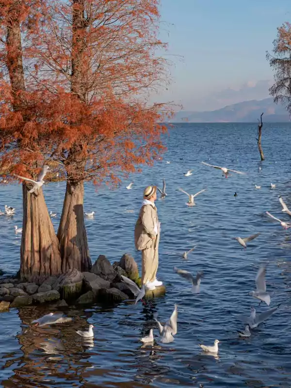 随手拍张照，都有法式电影的氛围感