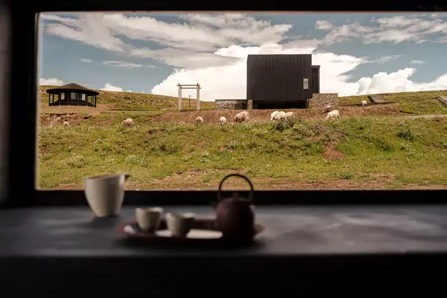 看云影在草甸上慢慢移动