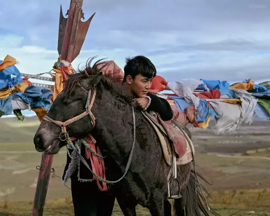 广阔草原扑面而来，说不定能遇见牧民赶着羊群从门前经过