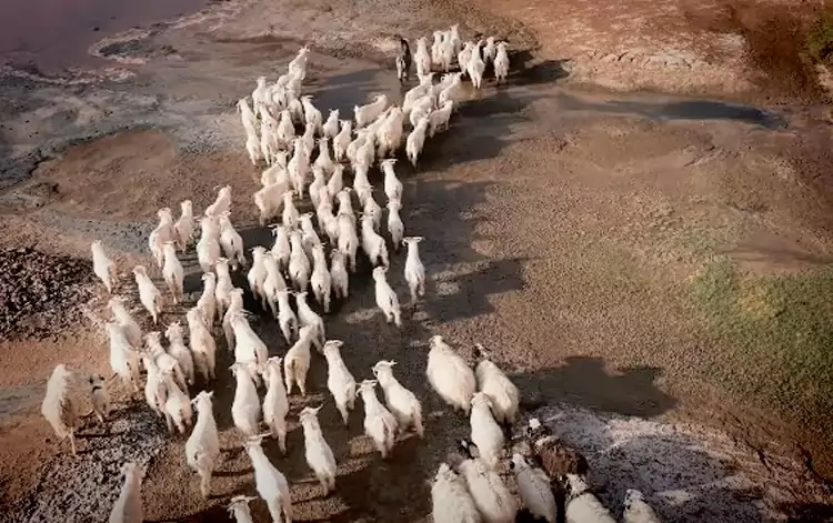 音德日图咸水湖的湖心 音德日图咸水湖的湖心