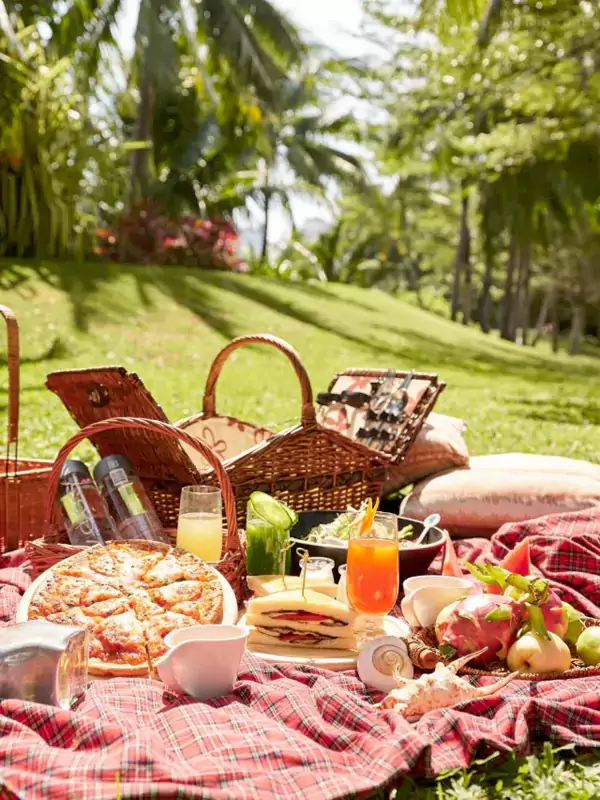 午后的草坪下午茶是仪式感的标配