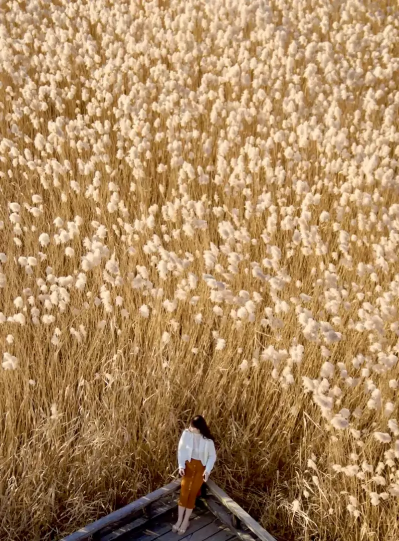 野鸭湖打卡点 野鸭湖打卡点