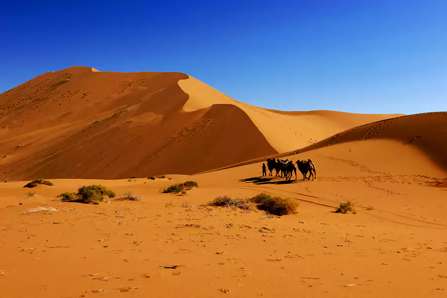 必鲁图峰 必鲁图峰