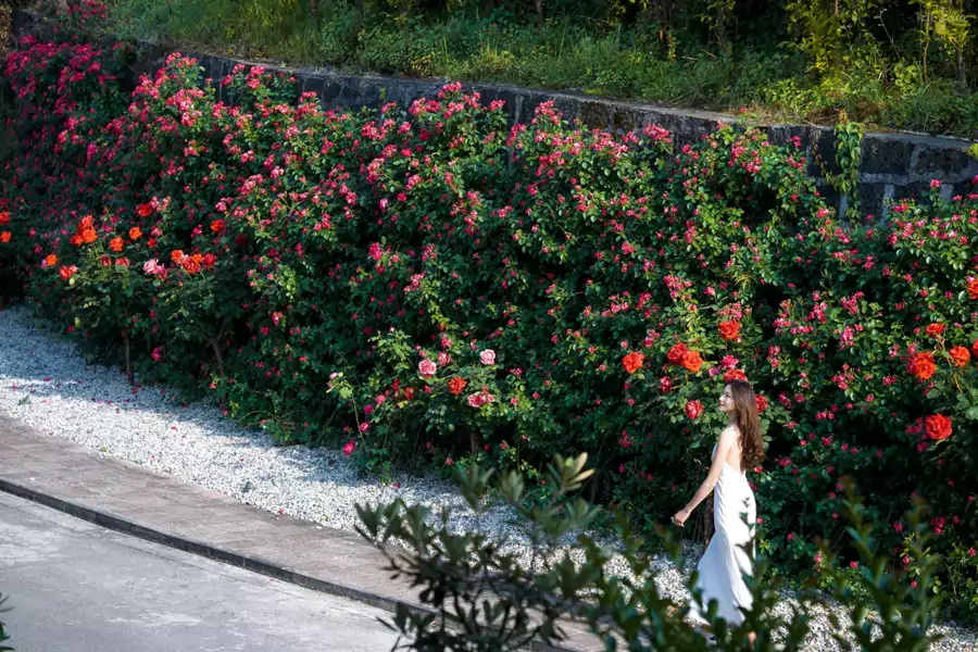 周边的美好同样不容错过 周边的美好同样不容错过