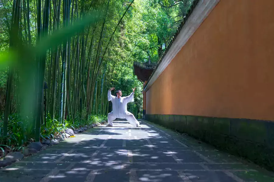 与有着 1600 年历史的温泉寺相依相伴