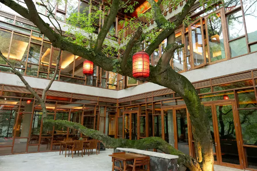 在这里，度假不止于躺平