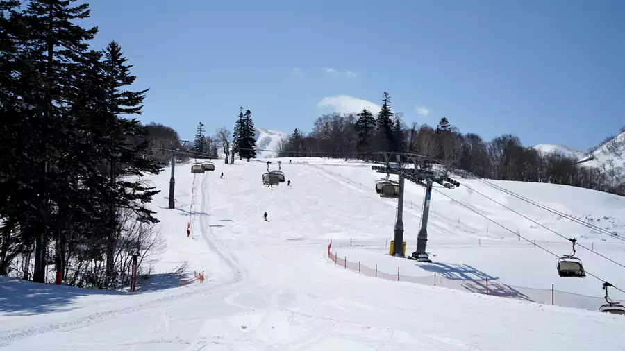 雪场最高海拔 1180 米,21 条雪道 雪场最高海拔 1180 米,21 条雪道