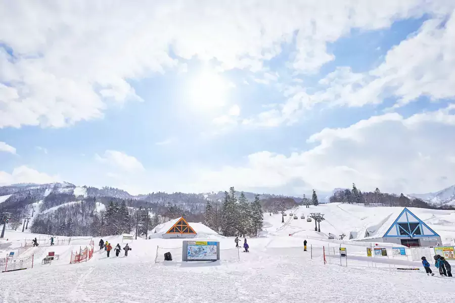 为了安全,喜乐乐还专门做了野外滑雪区域的门户系统 为了安全,喜乐乐还专门做了野外滑雪区域的门户系统