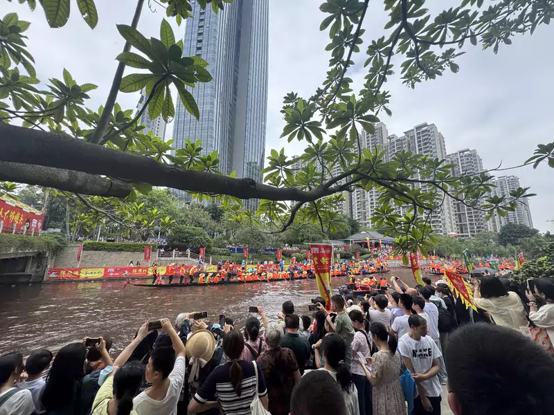 叠滘龙舟 叠滘龙舟