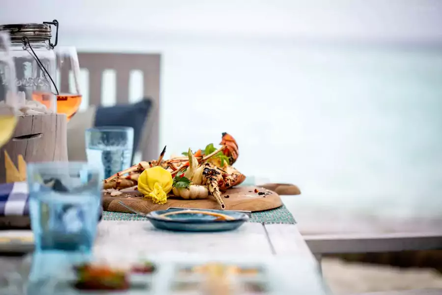 含餐客人可无限制自由选择 含餐客人可无限制自由选择