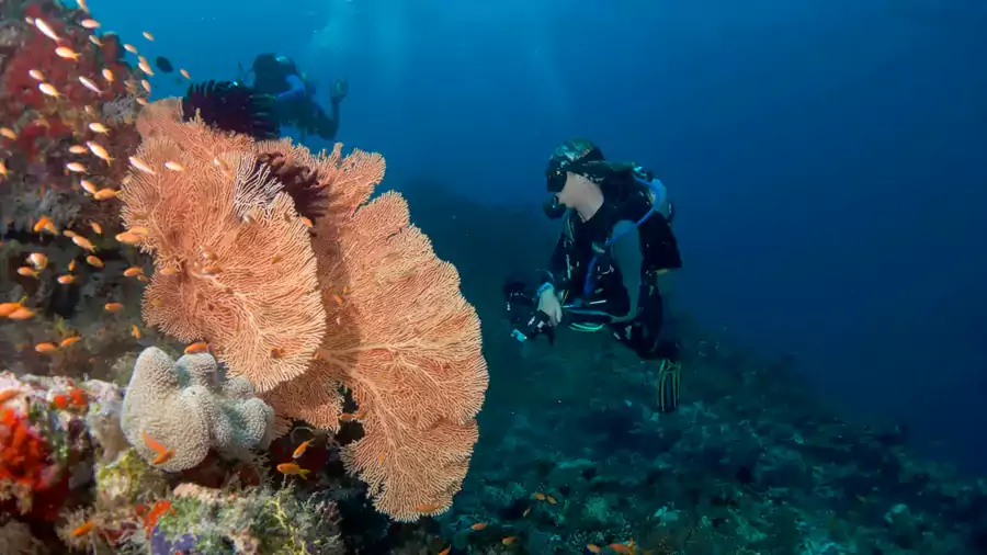 大四季岛的玩法覆盖全年龄段 大四季岛的玩法覆盖全年龄段