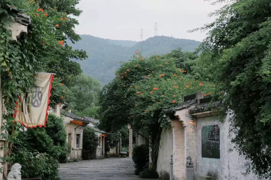 走进酒店，青石板路被岁月磨得温润