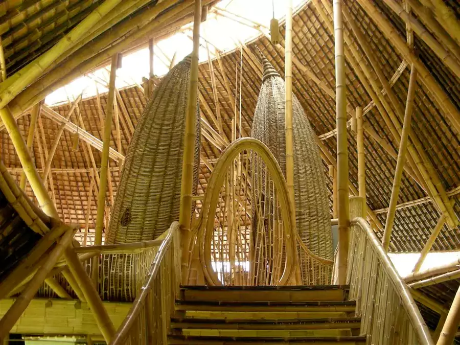 将近 6 层的枝桠式建筑宛如参天大树 将近 6 层的枝桠式建筑宛如参天大树