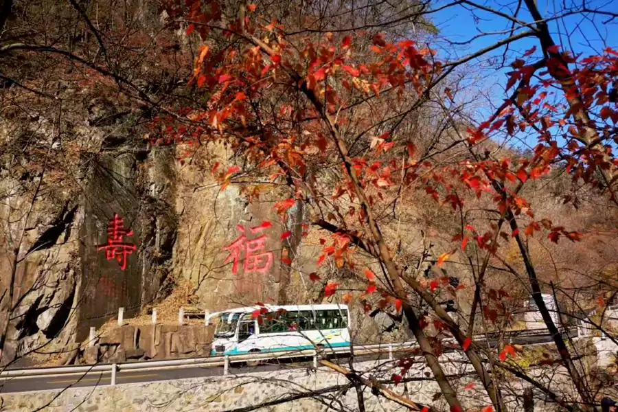 公路两侧的枫树几乎遮蔽了天空 公路两侧的枫树几乎遮蔽了天空