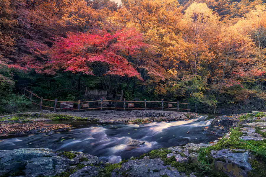 关门山国家森林公园 关门山国家森林公园