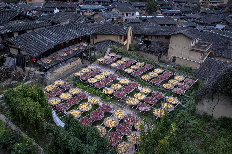 踏入古村,脚下是磨损的古道,身旁是古朴的书斋 踏入古村,脚下是磨损的古道,身旁是古朴的书斋