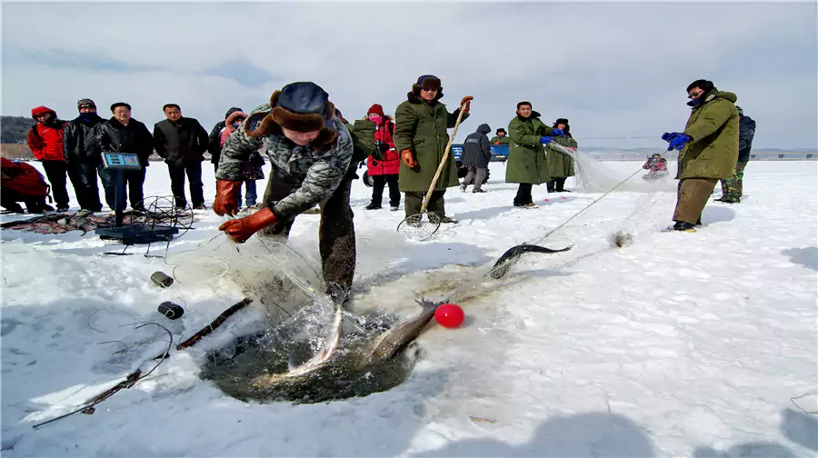 体验冬捕 体验冬捕