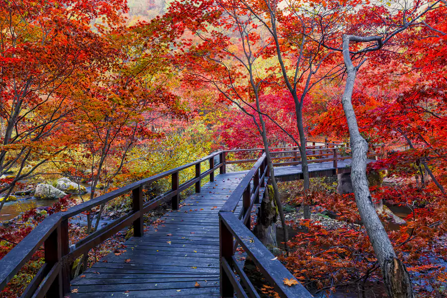 游览体验格外友好 游览体验格外友好