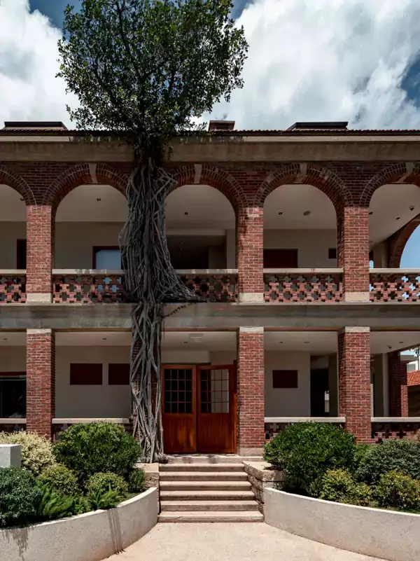 悉心留存了墙沿屋顶唯一存活的一脉榕藤