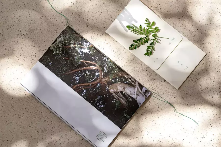 鼓浪屿七尚榕舍刻意与喧嚣保持距离