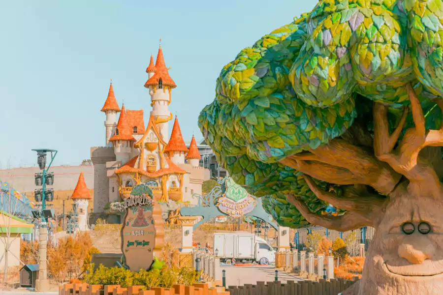 会说话的古树 会说话的古树