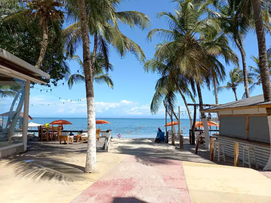 玛格丽特岛 玛格丽特岛