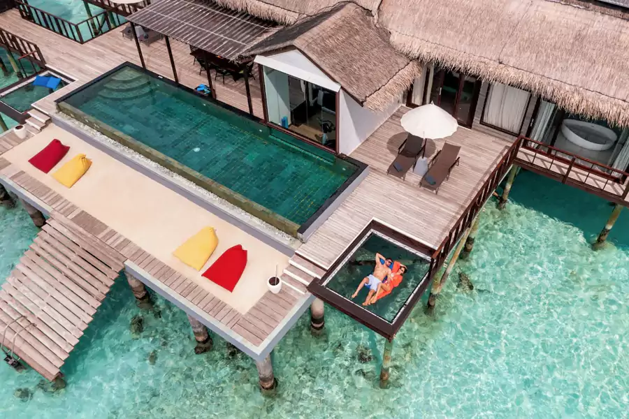 纯粹的放松与极致的享受