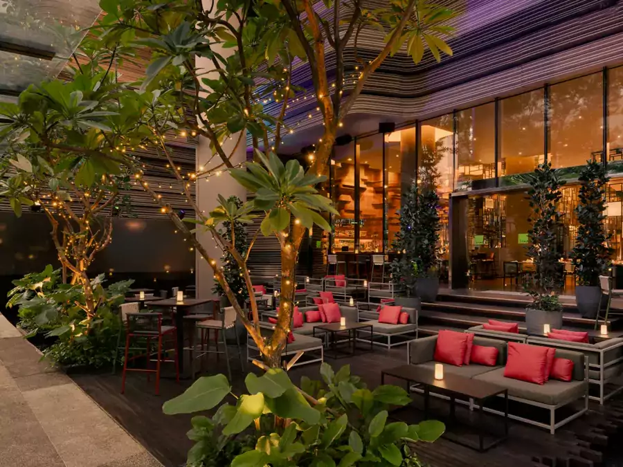 在露台俯瞰城市灯火 在露台俯瞰城市灯火