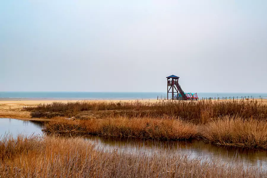 海滨森林公园 海滨森林公园