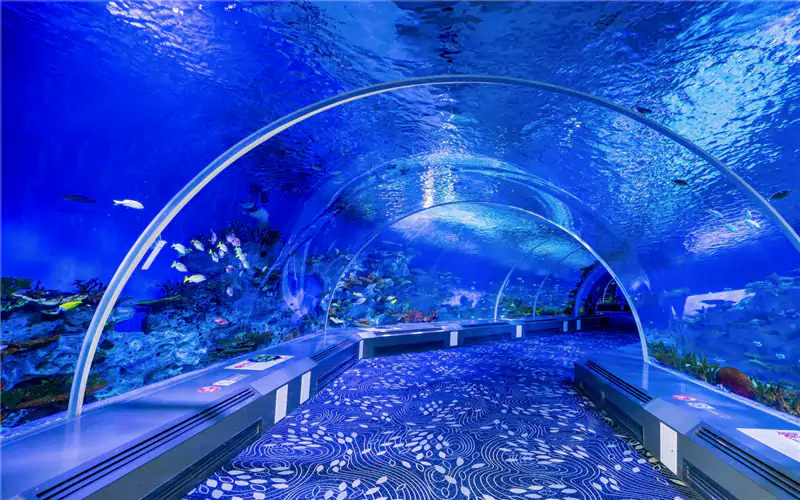 日照海洋公园 日照海洋公园