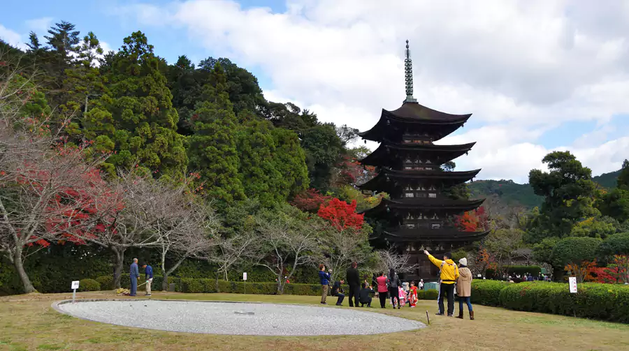 秋枫掩映下静谧深邃