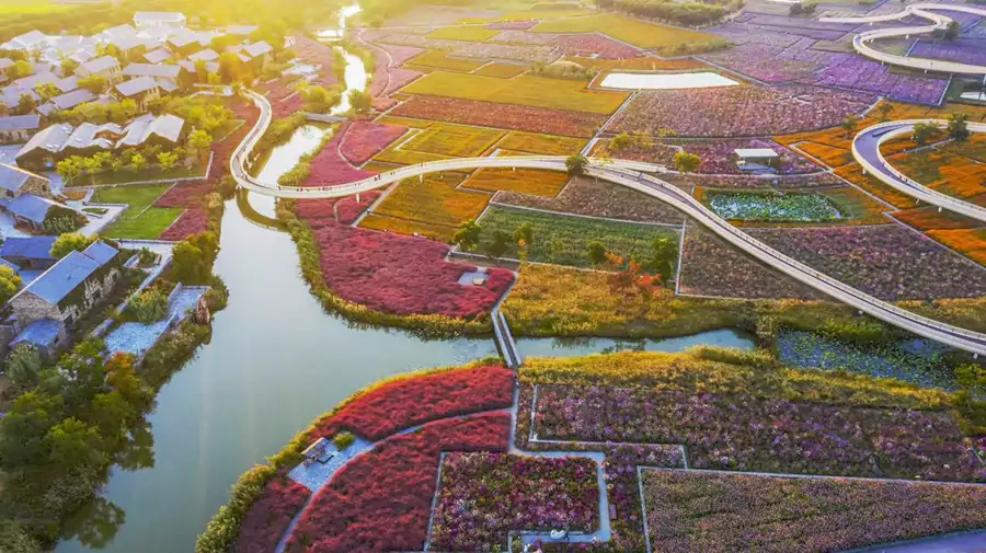 深秋时节,园内的红叶漫山遍野 深秋时节,园内的红叶漫山遍野