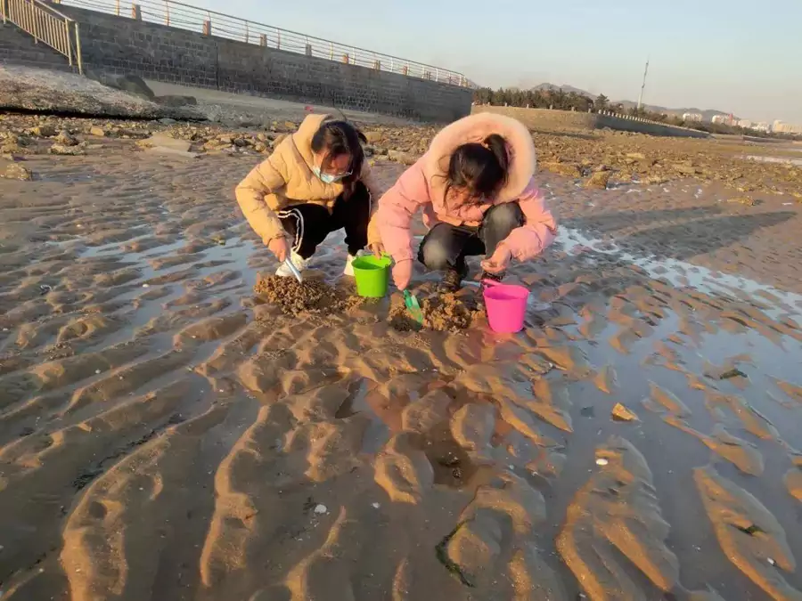 任家台礁石公园 任家台礁石公园