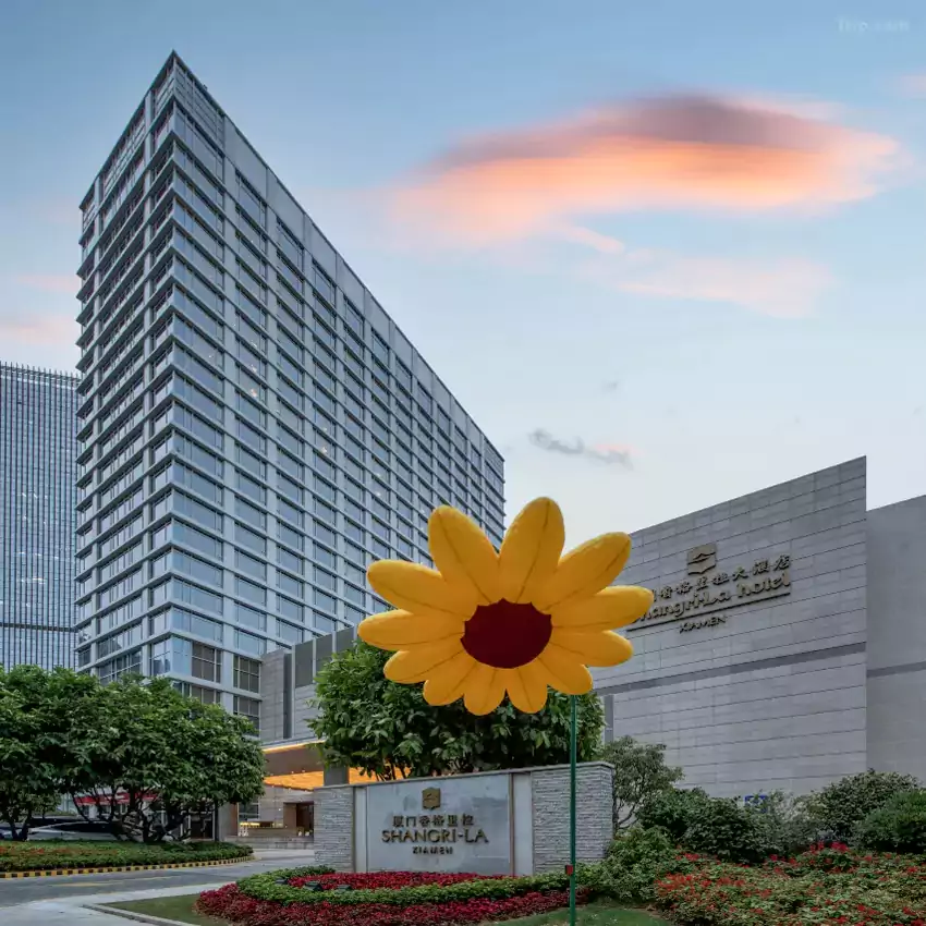 彻底沉浸在厦门的慢生活里