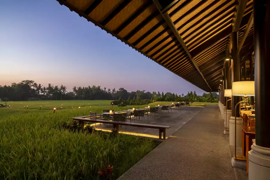 无边稻田餐厅里的星光晚餐更是浪漫满分 无边稻田餐厅里的星光晚餐更是浪漫满分