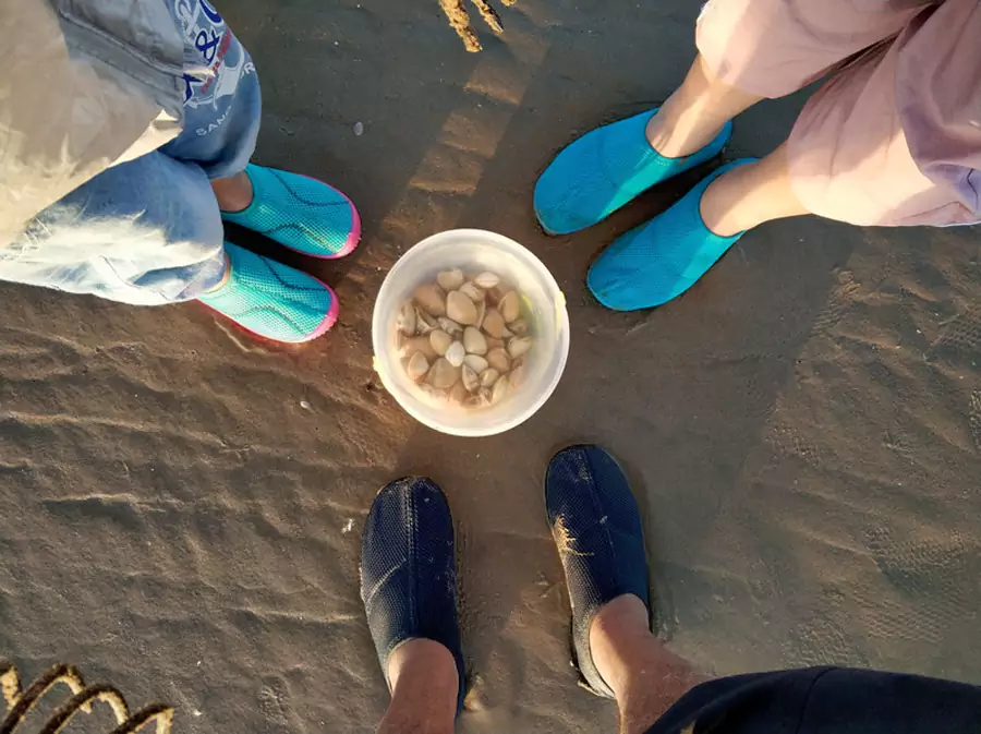 万宝赶海园 万宝赶海园