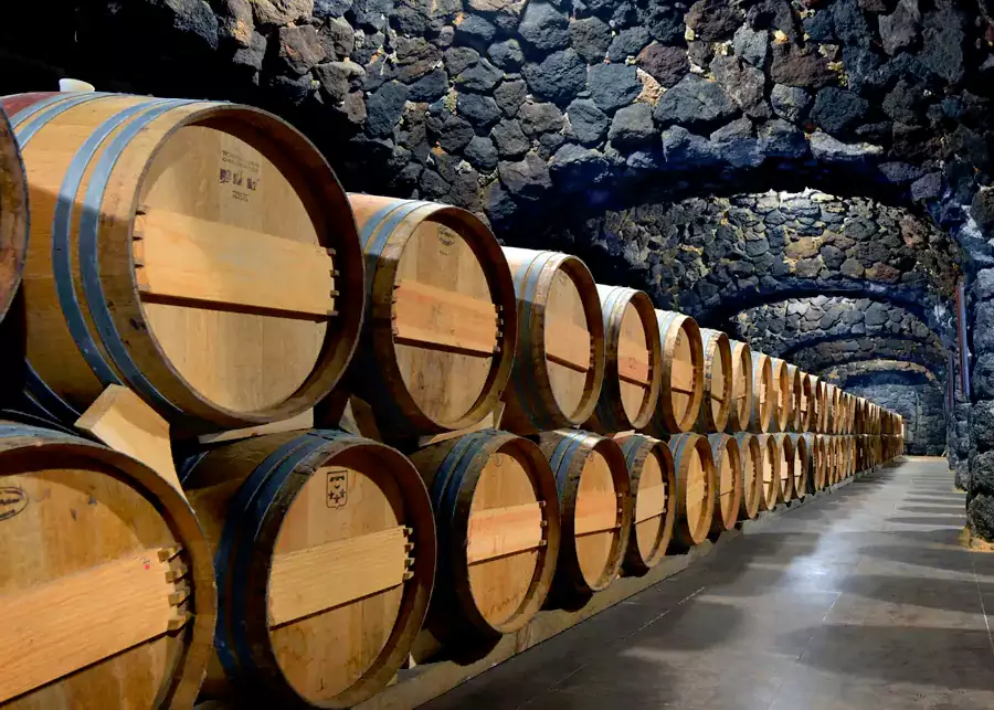 二号楼的葡萄酒窖堪称地下宝藏 二号楼的葡萄酒窖堪称地下宝藏